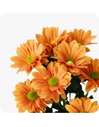 Marché aux fleurs